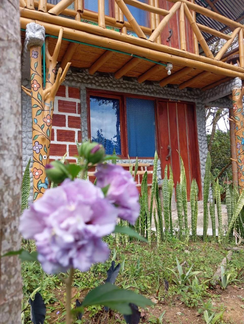 Eco Hotel Manu Viajeros San Agustín Exterior foto